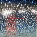 흥구동신주유소 이미지