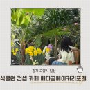 볕고을 | 경기 고양 일산 카페 추천 가볼만한 곳 배다골베이커리포레 할인 근처 맛집 후기