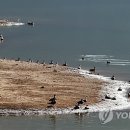 동림통상
