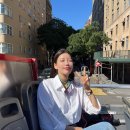 조례동 황소나이트앞 | 뉴욕 자유여행 11. 앳홈트립 탑뷰 버스 후기 : 맨하탄 업타운