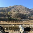 충주호캠핑장 이미지