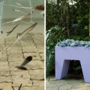 에코리움 이미지