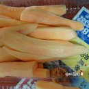 탑대영