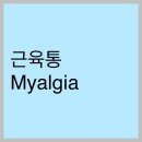 서울중앙마취통증의학과의원 이미지