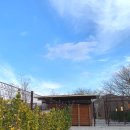 털찐 몽몽이 이미지