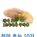 천마 효능 10가지와 부작용 천마 효능 이미지