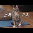 진솔2농장 이미지