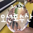 제주수산물회센타 | 제주 한림 회포장 맛집 | 한림수협수산물시장 활어회 솔직후기