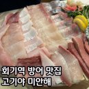 고기야고기야 | 회기역 방어 회집 고기야 미안해 대방어 후기