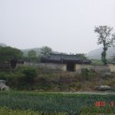 오동골2 Daum카페