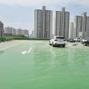 주)서안성아이웨딩컨벤션 | 안성 돌스냅 돌잔치 모든게 완벽했던 조건 feat 서안성아이웨딩컨벤션