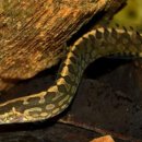 타이어 트랙 이미지