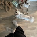 비타민활력소