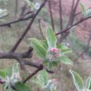 태수네농장 이미지