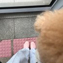 마틴스 라운지 이미지