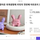 라빗플래닛 이미지