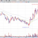 IB 소프트 이미지