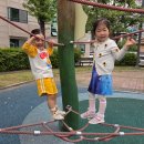 ✨️개나리반, 10월 깜짝 산책(해적놀이터)✨️ 이미지