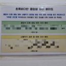 인스나인유치원 | 광주 도산동 유치원 25년 인스나인유치원 졸업식