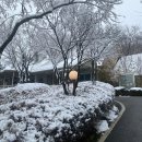 고려원사랑채 이미지