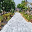 안동서부초등학교 전국매일신문