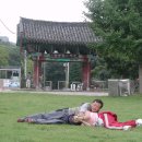 선운사의추억 이미지