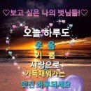 더그레이스파수영장펜션 이미지