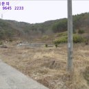 집현면1 이미지