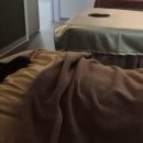 제주아로마 - 남동구 논고개로 81 | 조천마사지 힐링아로마, 함덕마사지 제주아로마마사지 후기