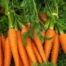 당근의 효능 영양성분 당근 1개 칼로리 하루 섭취량 이미지