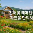 야생화테마펜션 | 지친 일상 속 힐링, 전국 꽃 테마 펜션에서 자연을 만끽하세요!