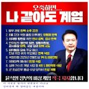 내가 대통령이라도 “비상계엄령선포하겠다” 윤석열 대통령 잘못 없다 !! 이미지