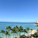 호텔하와이 | 최악의 하와이 호텔 알로힐라니 리조트 내돈내산 후기