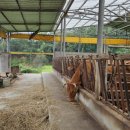 천안축산업협동조합배합사료공장 이미지