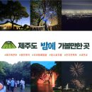 제주도 밤에 가볼만한 곳 - 별보기, 반딧불이, 불꽃놀이 명소 등