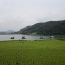 부동농장 이미지