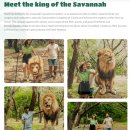 엔조이 | 신혼여행 계약후기(스테이엔조이_싱가포르,발리)