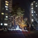 양지의료기 이미지