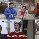 금송아지 이미지