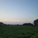 우도머뭄