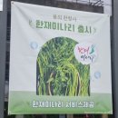 동광식육식당 | E.51.[수성구/ 동광 두산동 본점] 한재미나리가 서비스로 나오는 대구 두산동 고기집
