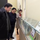 뿌리깊은나무 이미지