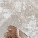 [이준성의 사진 묵상] 1533. 2024년은 빚 때문에 4,398명이 자살했다 이미지
