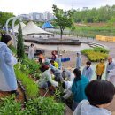 안양천 다목적광장 이미지