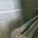 도복희 상회 이미지