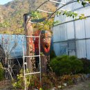 행복한마실농장 이미지