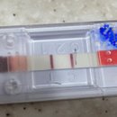 남창미르동물병원 이미지