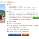 안동시티투어 동이사람들 이미지