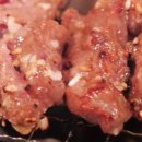 반값애견 이미지