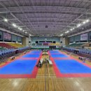 온리원 태권도 이미지